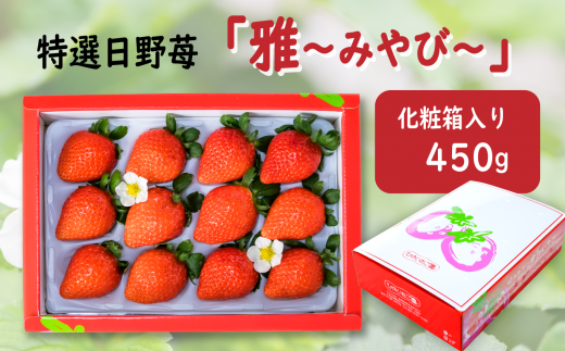 いちご 特選 日野苺「雅(みやび)」(約450g) 化粧箱  愛媛県西条市産 【先行予約・ 11月下旬~2026年2月発送】| いちご 苺 完熟 農家直送 産地直送 果物 くだもの フルーツ 野菜 いちご イチゴ 愛媛県産 おすすめ 人気 お取り寄せ 送料無料 贈答 ギフト ひのいちご園