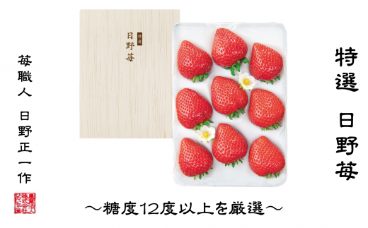 いちご 特選 日野苺(約450g)~糖度12度以上を厳選~ 化粧箱  愛媛県西条市産 【先行予約・ 11月下旬~2026年2月発送】| いちご 苺 完熟 農家直送 産地直送 果物 くだもの フルーツ 野菜 いちご イチゴ 愛媛県産 おすすめ 人気 お取り寄せ 送料無料 贈答 ギフト ひのいちご園