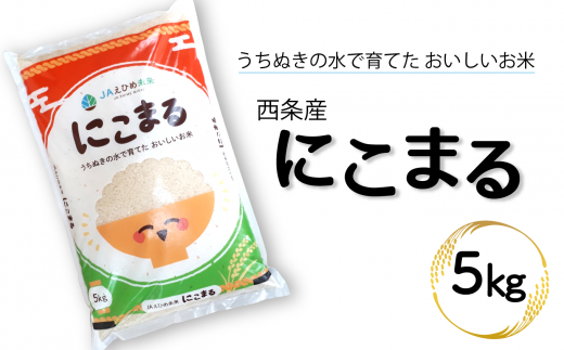 令和6年産 西条産のお米 「にこまる」(5kg) にこまる 米 精米 [オンライン決済限定]