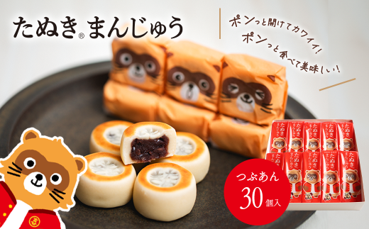 西条銘菓 「たぬきまんじゅう」 つぶあん プレーン 30個入 化粧箱　愛媛県西条市 和菓子 スイーツ まんじゅう 饅頭 粒あん 小分け 個包装 一口サイズ