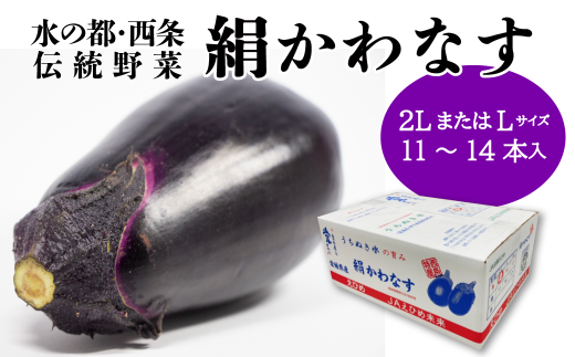 絹かわなす (JAえひめ未来) Lサイズまたは2Lサイズ 2025年6月中旬〜7月発送 [オンライン決済限定]