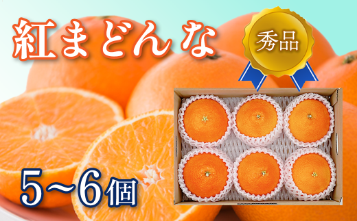 [先行予約] 紅まどんな [秀品] 5~6個(JA東予園芸またはJA周桑) 2025年11月下旬〜12月下旬発送 紅まどんな 柑橘 愛媛 かんきつ まどんな 高級 ジューシー 愛媛県 送料無料