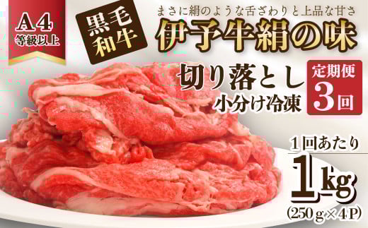 全3回定期便 黒毛和牛 伊予牛 絹の味 牛切り落とし 1kg×3回 (冷凍) 愛媛県西条市 青野精肉店 | 黒毛和牛 A4〜A5 お肉 牛肉 切り落し きりおとし 定期便 国産肉 国産牛肉 肉 和牛 おにく グルメ お取り寄せ おすすめ 国産 愛媛県 西条市