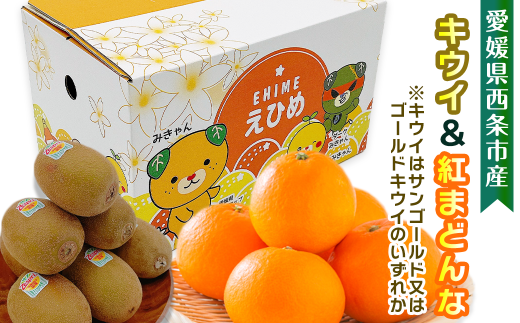 愛媛県西条市産 紅まどんな キウイ 詰め合わせ 【サンゴールドキウイまたはゴールドキウイと紅まどんなのセット】 【先行予約・11月下旬~12月下旬頃発送】| まどんな 愛媛 紅まどんな マドンナ みかん キウイ サンゴールド ゴールド 果物 フルーツ ジューシー 甘い 食べ比べ おすすめ 人気 お取り寄せ 愛媛県 西条市 送料無料