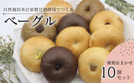 天然酵母ベーグル 種類おまかせ10個セット 西条市産の自然栽培米でつくる 自家製米麹生あま酒を使用した 天然酵母ベーグル