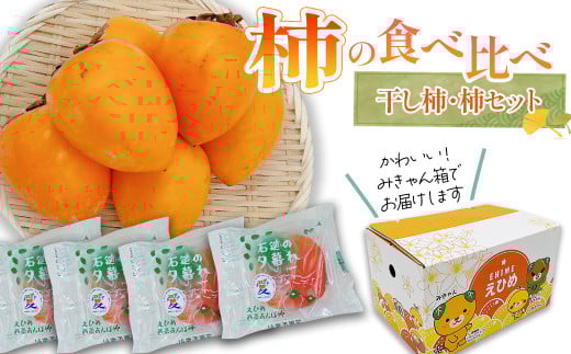 柿 詰め合わせ 西条市産の柿の食べ比べ 干し柿・柿セット 愛媛県西条市 【先行予約・2025年12月発送】 | あたご柿 あんぽ柿 柿 フルーツ 柿 かき カキ 果物 干し柿