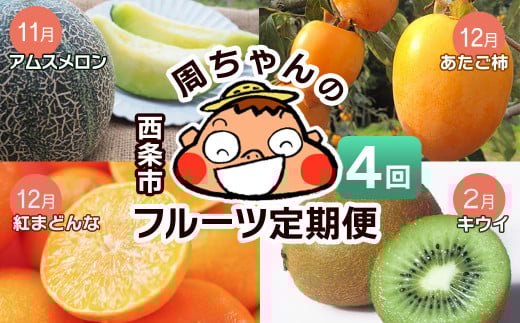 旬フルーツ 果物 定期便 【愛媛県西条市 フルーツ定期便 4回】 ~ アムスメロン 紅まどんな あたご柿 キウイ ~ 【先行予約・11月より開始】 西条市 周ちゃん広場 | フルーツ 旬 定期便 お取り寄せ メロン 柑橘 紅まどんな 柿 キウイ JA周桑 季節の果物