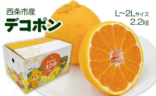 デコポン 柑橘 でこぽん 2.2㎏(L~2Lサイズ) 愛媛県西条市 【先行予約・2026年2月下旬~3月下旬発送】| 柑橘 かんきつ でこぽん しらぬい みかん 旬 期間限定 果物 フルーツ お取り寄せ 愛媛県 西条市