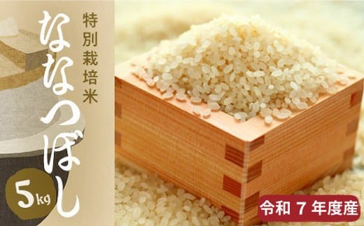 【R7年産新米】北海道産特別栽培米 アポイ米（ななつぼし）5kg