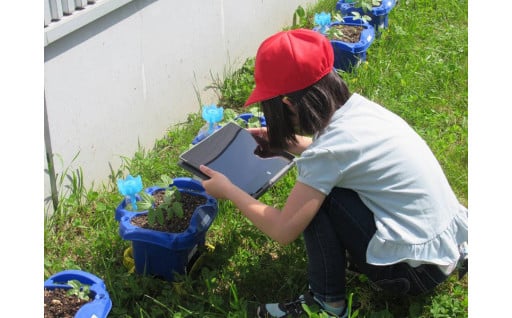 小中学校の豊かな学びを実現するための教育環境の充実に活用