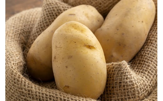 じゃがいも（メークイン） 約5kg 【2025年9月上旬～2026年1月下旬発送】 じゃがいも ジャガイモ メークイン 野菜 北海道 北広島市