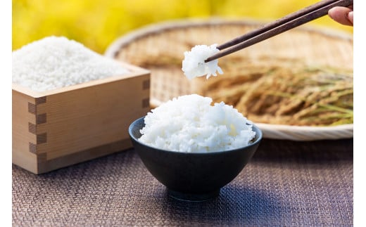 【5回定期便】 田園交響楽ゆめぴりかスペシャル 無洗米 5kg