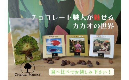 [カカオ70% ビーントゥバー チョコレート3種] 大人気のシングルオリジン食べ比べ｜スイーツ デザート 菓子 お菓子 洋菓子 紅茶 贈答用 贈り物 ギフト プチギフト プレゼント 手土産 おやつ 小分け 包装 パック [1181]