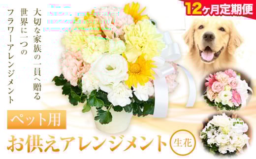 ★12ヶ月定期便★ 花 椿原園 ペット用 お供え アレンジメント 1個 フラワーアレンジメント 《お申込み月の翌月から出荷開始》 熊本県 荒尾市 生花 お供え 花 お供え用 犬用 猫用 犬 猫 ペット