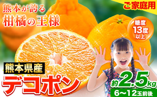 先行予約 デコポン 2.5kg 訳あり デコポン ご家庭用デコポン 約 2.5kg 前後(約6-12玉前後) 糖度13度以上 個別光センサー選果 みかん  柑橘 フルーツ 旬 不知火 でこぽん《2026年2月上旬-4月末頃出荷》生産量日本一熊本県産(荒尾市産含む) 柑橘 フルーツ 旬 不知火 でこぽん