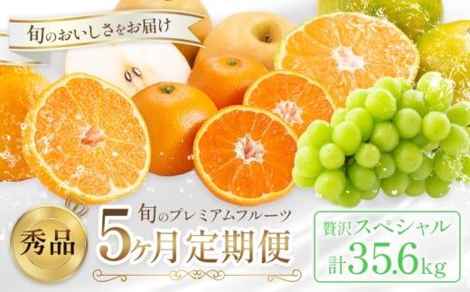プレミアム フルーツ 定期便 5ヶ月連続 秀品 スペシャル 計35.6kg 日本フルーツ株式会社[2025年8月上旬-12月末出荷]熊本県 荒尾市 シャインマスカット おまかせ 梨 早生みかん 温州みかん 不知火 果物 フルーツ スイーツ デザート ギフト ご贈答