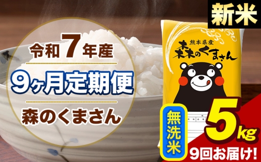 【9ヶ月定期便】令和7年産 新米 森のくまさん 無洗米 5kg 5kg×1袋 計9回お届け《お申込み翌月から出荷》お米 こめ 熊本県産 ご飯 備蓄