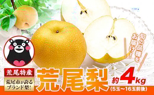 【 2025年 先行予約 】 梨 荒尾梨 和梨 約4kg なし フルーツ 果物 新鮮《2025年8月下旬‐11月中旬頃出荷》熊本県 荒尾市産 デザート 旬の梨 幸水 豊水 あきづき 他4種 合計8種のいずれかをお届け（品種指定はできません） あたご梨