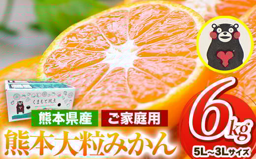 みかん 訳あり 大玉 大粒みかん 6kg 6キロ 熊本 ちょっと 訳あり 傷 5L~3Lサイズ 約6kg 《2026年1月中旬-2月末頃出荷》 大粒 みかん 大玉みかん 訳ありみかん ご家庭用みかん 熊本みかん たっぷり 熊本県産(荒尾市産含む) 熊本県 期間限定 フルーツ 6000g 旬 柑橘 ご家庭用 荒尾市 大粒 果物
