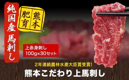 馬刺し 上赤身 ブロック 国産 熊本肥育 冷凍 生食用 たれ付き(10ml×30袋) 100g×30セット 肉 期間限定 絶品 牛肉よりヘルシー 馬肉 予約 小分け 平成27年28年 農林水産大臣賞受賞 熊本県荒尾市《90日以内に出荷予定(土日祝除く)》