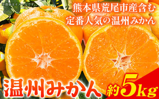 みかん 温州みかん 約 5kg 柑橘 フルーツ ミカン 蜜柑 [11月上旬-12月上旬頃出荷]熊本県 荒尾市産含む 熊本県 荒尾市 フレッシュフーズ