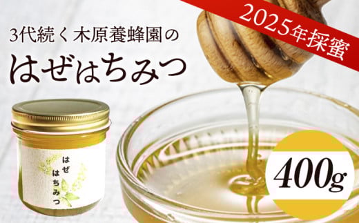 はぜはちみつ 400g 木原養蜂園《30日以内に出荷予定(土日祝除く)》 熊本県 荒尾市 純粋蜂蜜 蜂蜜 国産 st-p