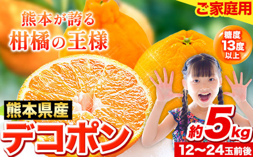 先行予約 デコポン 5kg 訳あり デコポン ご家庭用デコポン 約 5kg 前後(約12-24玉前後) 糖度13度以上 個別光センサー選果 みかん  柑橘 フルーツ 旬 不知火 でこぽん《2026年2月上旬-4月末頃出荷》生産量日本一熊本県産(荒尾市産含む) 柑橘 フルーツ 旬 不知火 でこぽん