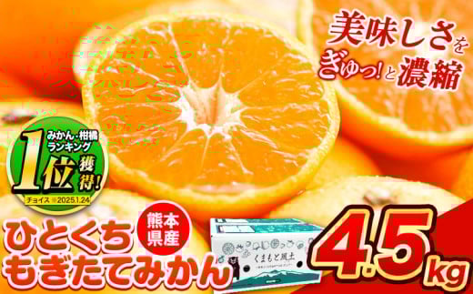 【2025年先行予約】訳あり みかん ひとくちもぎたてみかん 約 4.5kg (4.5kg×1箱) S-3Sサイズ 訳あり ご家庭用 熊本県産 （荒尾市産含む） 期間限定 フルーツ 果物 旬 冬 柑橘 小玉 みかん《2025年10月中旬-12月末頃出荷》