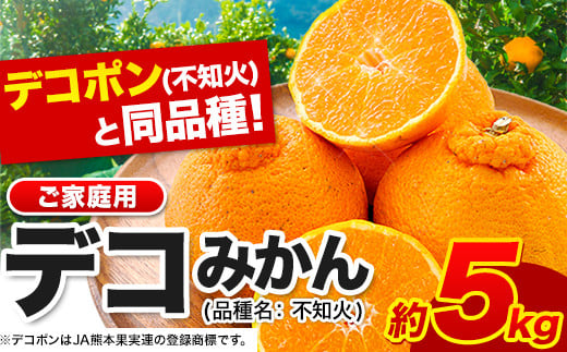 不知火 デコみかん ( デコポン と同品種 ) 不知火 ご家庭用 熊本県産 ( 荒尾市産含む ) 訳あり 約 5kg (12-24玉前後) 《2026年2月上旬-4月末頃出荷》 柑橘 みかん フルーツ 不知火 先行予約 訳あり 訳アリ でこみかん 果物