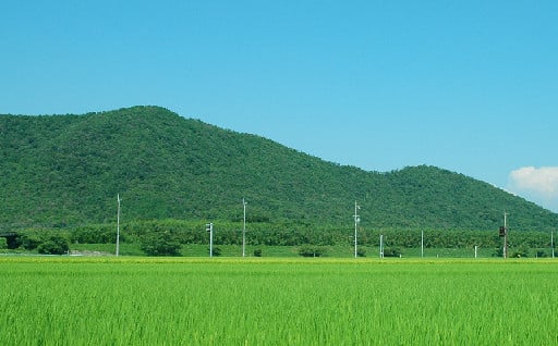 （２）自然を愛し、緑豊かな美しいまちを守る安らぎづくり事業