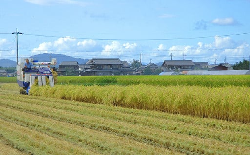 （５）仕事にはげみ、豊かで活力のあるまちづくり事業