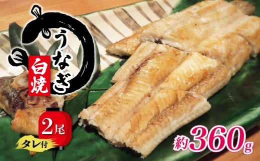 国産 うなぎ 白焼き 180g × 2尾 約360g タレ付  ( グルメ うなぎ 鰻 新鮮 たれ 土曜 丑の日 真空パック おすすめ 滋賀県 竜王 送料無料 )