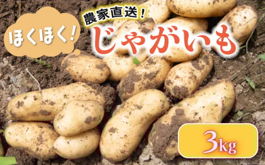 じゃがいも 3 kg 野菜 ジャガイモ メークイン 男爵 ヤサイ やさい 食材 新鮮 旬 産地直送 詰め合わせ 滋賀県 竜王町 送料無料 竜王産