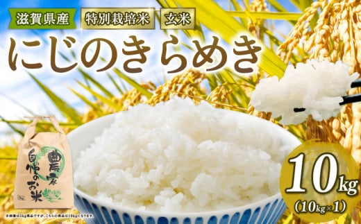 新米予約 特別栽培米 にじのきらめき 令和7年産 米 10kg 玄米 ニジノキラメキ 2025年産 国産 農家直送 環境こだわり お試し用 小分け お米 こめ おこめ 新米 先行予約 農家直送 産地直送 滋賀県 竜王町