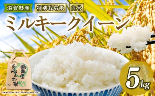 新米予約 特別栽培米 ミルキークイーン 令和7年産 米 5kg 白米 みるきーくいーん 2025年産 国産 農家直送 環境こだわり お試し用 小分け お米 こめ おこめ 新米 先行予約 農家直送 産地直送 滋賀県 竜王町