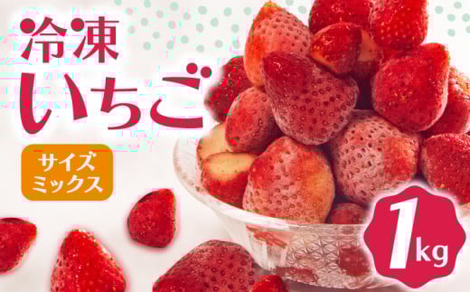 冷凍 いちご 1kg 完熟 ヘタ取り サイズミックス イチゴ 苺 冷凍いちご 果物 スイーツ デザート フルーツ アイス ジャム シャーベット ベリー 氷菓 甘い オススメ 人気 滋賀県 竜王町 ひさだ苺農園