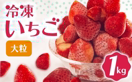 冷凍 いちご 1kg 完熟 ヘタ取り 大粒 イチゴ 苺 冷凍いちご 果物 スイーツ デザート フルーツ アイス ジャム シャーベット ベリー 氷菓 甘い オススメ 人気 滋賀県 竜王町 ひさだ苺農園