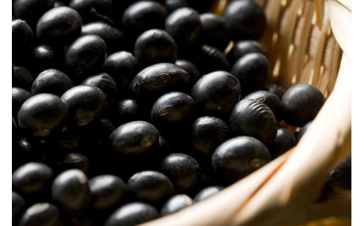 【令和7年産 丹波黒豆500g】黒豆 くろまめ 豆 丹波 滋賀県 竜王