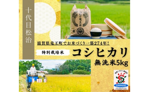 新米 コシヒカリ 無洗米 5kg 縁起の竜王米 ( 令和7年産 先行予約 新米 無洗米 5kg おこめ ごはん 米 特別栽培米 ブランド米 ライス こだわり米 ギフト 国産 滋賀県竜王町 )