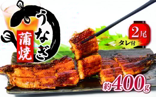 国産 うなぎ 蒲焼 2尾 約400g  ( 1尾あたり 約200g ) タレ付  ( グルメ うなぎ 鰻 新鮮 たれ  土曜 丑の日 真空パック おすすめ 滋賀県 竜王 送料無料 )