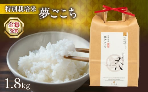 [ 先行予約 ] 新米 夢ごこち 1.8kg ( 令和7年産 2025年 ブランド 米 rice 精米 白米 ご飯 内祝い プレゼント ギフト お歳暮 もちもち 国産 送料無料 滋賀県 竜王町 ふるさと納税 )
