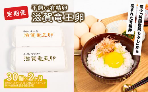 定期便 平飼い有精卵 滋賀竜王卵 30個 × 2ヵ月 ※割れ保証各3個 ( こんもり盛り上がるプルプルな卵白 滋賀竜王卵 新鮮 平飼い 卵 純国産 鶏もみじ 大人気 たまご 鶏卵 卵黄 エッグ 希少 たまごかけ ご飯 玉子 タマゴ 玉子焼き たまご焼き すき焼き 鶏 ケーキ 産地直送 国産 滋賀県 竜王町 ふるさと納税 )