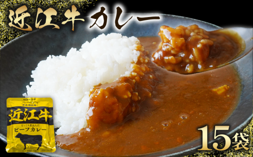 近江牛 カレー 160g×15袋セット [ レトルト カレー 近江牛 カレー 黒毛和牛 牛肉 2400g 肉 ギフト 自宅用 高級 黒毛和牛 国産 ごはんのお供 ふるさと納税 12000円 ブランド牛 三大和牛 和牛 贈り物 内祝い 神戸牛 松阪牛 に並ぶ 日本三大和牛 滋賀県 竜王町 澤井牧場 送料無料 ]