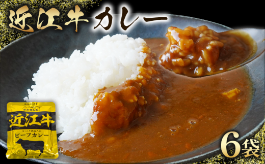 近江牛 カレー 160g×6袋セット [ レトルト カレー 黒毛和牛 牛肉 960g 肉 ギフト 自宅用 高級 黒毛和牛 国産 ふるさと納税 5000円 ブランド牛 三大和牛 和牛 贈り物 内祝い 神戸牛 松阪牛 に並ぶ 日本三大和牛 滋賀県 竜王町 澤井牧場 送料無料 ] [202403_防災グッズ]保存食