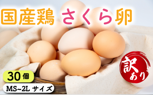 訳あり 卵 30個 ( たまご 25個 + 割れ補償 5個 ) 国産 鶏 さくら 簡易包装 コクのある 濃い 卵黄 風味 とれたて 生 たまご  滋賀 地産地消  国産鶏 玉子 産みたて 新鮮 卵 かけご飯 たまご かけごはん 玉子 丼  卵 焼き すき焼き 目玉 焼き 玉子 スープ 茶碗蒸し ゆで たまご 卵 サンド滋賀県 竜王町