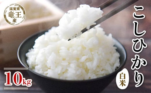 [ 先行予約 ] 令和7年産 新米 予約 コシヒカリ 白米 10kg 米 滋賀県 竜王町 国産 農家直送 特別栽培米 こしひかり 2025年産 国産 農家直送 環境こだわり お米 こめ おこめ 産地直送 送料無料 滋賀県 竜王町 ふるさと納税