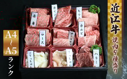 [通常発送] 近江牛 焼肉 9種 盛り合わせ 360g 冷凍 A4 A5 ( 近江牛 カルビ ロース ハラミ こてっちゃん てっちゃん サーロイン 希少部位2種 赤身 和牛 黒毛和牛 ブランド和牛 近江牛 牛肉 三大和牛 近江牛 近江牛 切り落し 贈り物 ギフト 近江牛 国産 近江牛 滋賀県 竜王町近江牛 岡喜 霜降り 神戸牛 松阪牛 に並ぶ 日本三大和牛 ふるさと納税 父の日 母の日 )