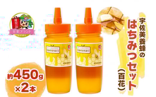 宇佐美養蜂のはちみつセット (百花) 450g×2本「KANRAブランド認定商品」｜国産 純粋はちみつ 蜂蜜 ハチミツ 無添加 とんがり容器 ボトル セット ハニー 産地直送 甘楽町 群馬県 [0209]
