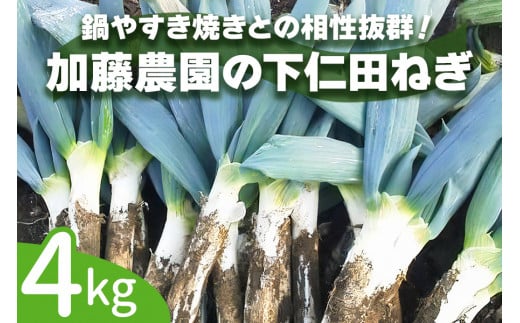[先行予約] 産地直送！加藤農園の下仁田ねぎ 約4kg [12月中旬より順次発送]｜数量限定 冬の味覚 下仁田ネギ 鍋 すき焼き 葱 ネギ 長ねぎ 殿様ねぎ かき揚げ 国産 群馬県産 甘楽町産 産地直送 [0181]