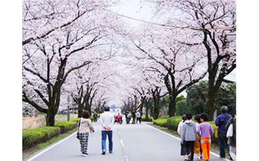 4. ふるさとを愛し、未来に夢が膨らむまちづくりに関する施策